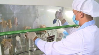 通城縣質(zhì)檢中心 精準(zhǔn)檢測(cè)，為企護(hù)航，把好產(chǎn)品質(zhì)量與室內(nèi)環(huán)境安全關(guān)